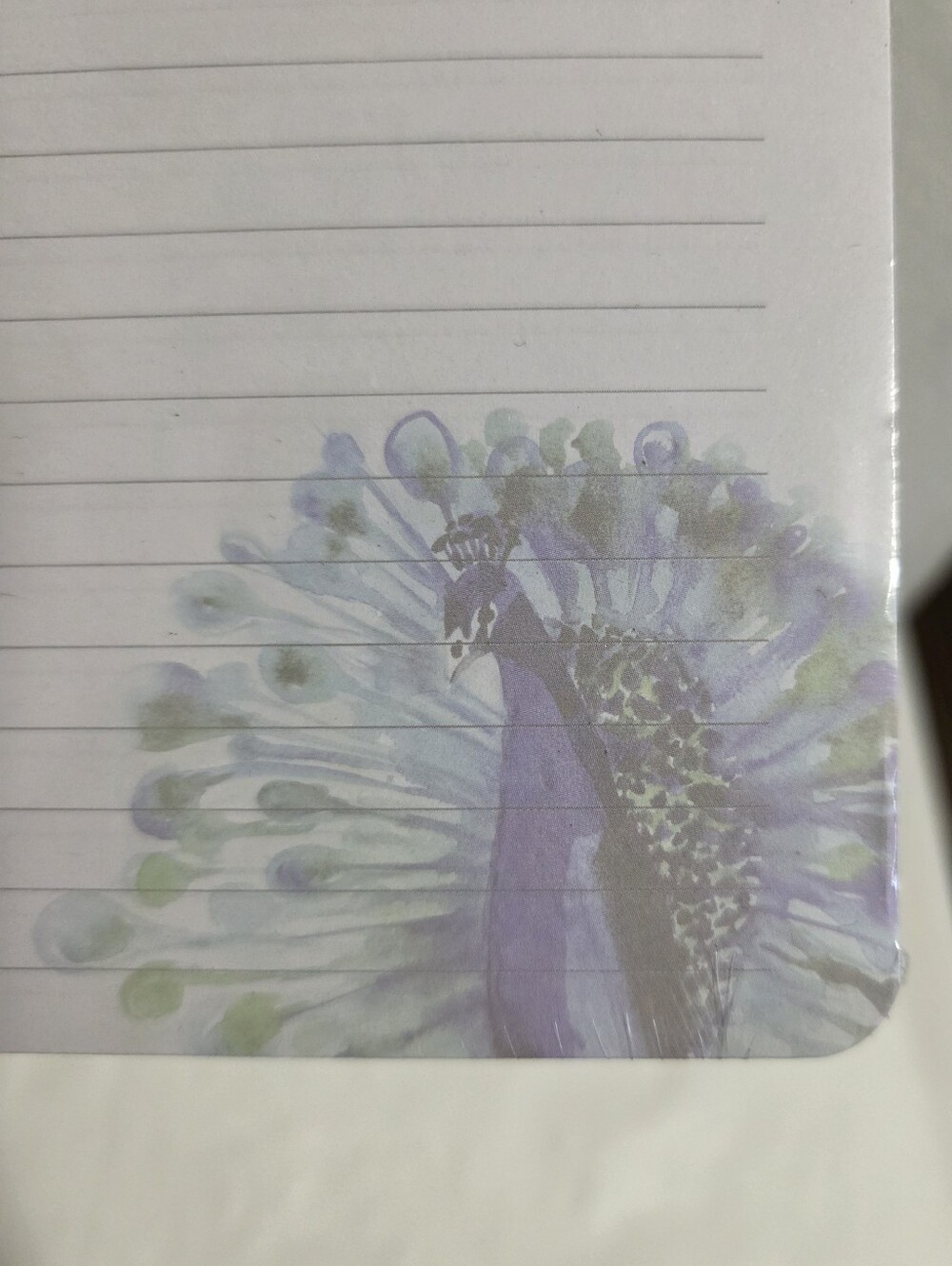 Peacock Print Notepad & Notes Set - Blue & Green - Picture 4 of 11
